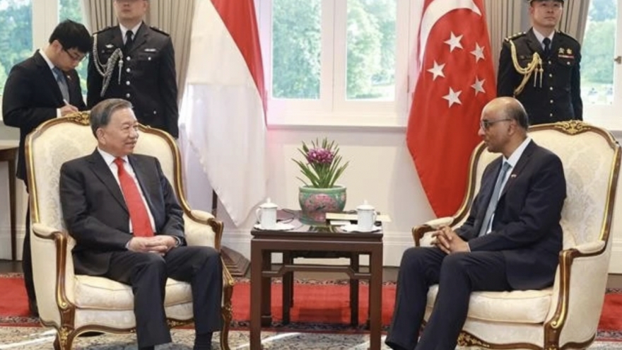 Vietnamese, Singaporean leaders highlight complementary strengths